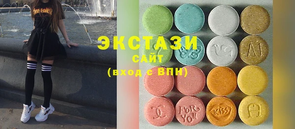 индика Гусь-Хрустальный