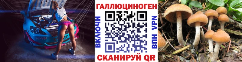 наркошоп Ленинск-Кузнецкий Псилоцибиновые грибы мицелий